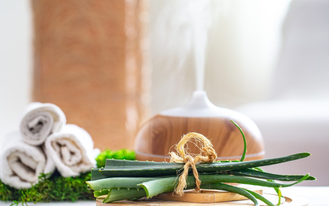 Embrace Holistic Healing at Health Within Wellness Center